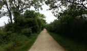 Trail Walking Tournefeuille - Toulouse la ramé le tour du lac - Photo 1