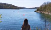 Excursión Senderismo Froidchapelle - La balade du grand cerf aux lacs de l’eau d’heure  - Photo 5