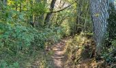 Tour Wandern Sasnières - Sasnières - Forêt de Prunay - Photo 15