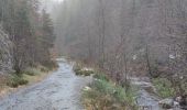 Randonnée Marche Malmedy - Cascade de Bayehon  - Photo 10