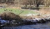 Randonnée Marche Rendeux - Autour de Saint Thibaut - Photo 12