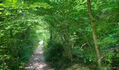 Excursión Senderismo Amfreville-sur-Iton - Les sentiers de laiton - Photo 1