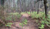 Trail Walking Soustons - Tour lac Soustons réalisé  - Photo 2
