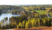 Percorso A piedi Viitasaari - Savivuoren luontopolku - Metsän tuulahdus - Photo 4