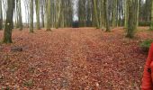 Tour Wandern La Roche-en-Ardenne - maboge - Photo 1