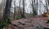 Tocht Stappen Waimes - Autour du château de Reinhardstein - Version courte - Photo 3