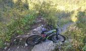 Trail Mountain bike Montriond - lindaret lac de la plagne - Photo 4