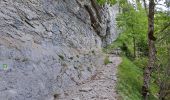 Trail Walking Bellecombe-en-Bauges - Tour de BancPlat, Dent des portes en partant du petit reposoir  - Photo 13