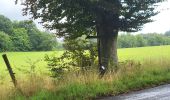 Trail Walking Hamoir - Filot 220725 - Photo 6