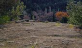 Trail Walking Saumane-de-Vaucluse - saumane et ses environs - Photo 8