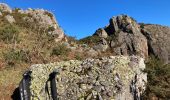 Randonnée Marche Sare - Col en col la Rhune SARE  - Photo 8