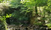 Excursión Senderismo Espagnac - 20190813 promenade transcorerrezien via Espagnac - Photo 1