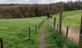 Trail Walking Honnelles - Promenade du caillou qui bique  - Photo 4