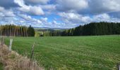 Tour Wandern Hohenfels - Cetturu 060224 - Photo 19