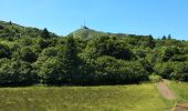 Excursión Senderismo Orcines - Ceyssat,Puy de Dôme  - Photo 3