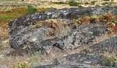 Percorso A piedi U.F Celorico, São Pedro e Santa Maria e Vila Boa do Mondego - Trilho de São Gens - Photo 4