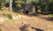 Tocht Stappen Cornillon-Confoux - cornichon  confoux - Photo 1