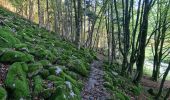 Tour Wandern Metzeral - Le belvédère du 1e Spitzkopf - Photo 7