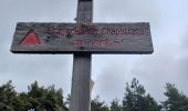 Trail Walking Saumane - SAUMANE. LES BERGERIES DE SAUMANE O - Photo 18