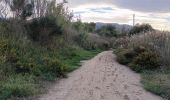 Trail Walking Argelès-sur-Mer - racou -  risque de portails (par les bois) port argeles (par la mer) le racou - Photo 2