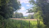 Randonnée Marche Comblain-au-Pont - oneux . hoyemont . chambrale . oneux  - Photo 5