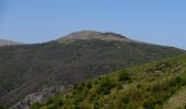 Trail On foot Genoa - Bolzaneto - Lencisa - Piani di Praglia - Photo 1