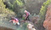 Tour Wandern Le Muy - La Combe Renaude et le Pic Rébéquier - Photo 10