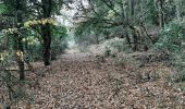 Tour Wandern Sournia - sournia arbre remarquable - Photo 17