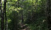 Tocht Stappen Puy-Saint-Vincent - Le Villaret La combe noire - Photo 1