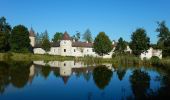 Excursión A pie Gemeinde Pölla - Teichwanderweg Nr. 51 - Photo 8