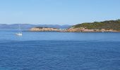Trail Walking Hyères - Porquerolles  à pied  - Photo 3