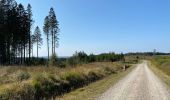 Tour Wandern Monschau - Mützenich Ternell 22 km - Photo 13