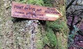 Trail Walking Loc-Eguiner - loc-eguiner - Photo 5