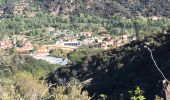 Tour Wandern Arles-sur-Tech - Col de Paracols depuis Arles sur Tech - Photo 1