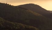 Tour Zu Fuß Friedrichroda - Rennsteig-Leiter Friedrichroda - Photo 6