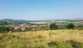 Randonnée Marche Leyr - LEYR - LE PLATEAU DE LA ROCHETTE - Photo 3