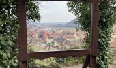 Trail Walking Kaysersberg-Vignoble - Kaysersberg - Photo 3