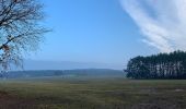 Tour Zu Fuß Heidesee - Rundweg Prieroser Heide - Photo 4