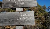 Randonnée Marche Coaraze - Cime du l'Autaret  - Photo 10