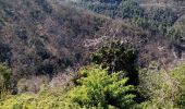 Tour Wandern Les Ollières-sur-Eyrieux - la croix du banc - Photo 18