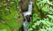 Tour Wandern Oberhaslach - Circuit des 2 cascades - Photo 7