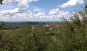 Trail Walking Boussières - Boussières crête  - Photo 3