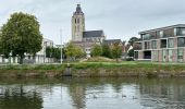 Tour Wandern Oudenaarde - Audenarde Oudenaarde 11,6 km - Photo 13