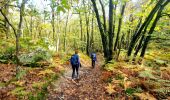 Tour Wandern Saint-Germain-sur-École - Boucle soisy version definitif - Photo 3