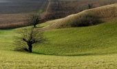 Tocht Stappen Hostun - les monts du matin - Photo 1