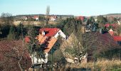 Tocht Te voet Allstedt - Grüner Balken - Photo 5