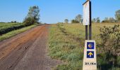 Tocht Stappen Valverde de la Virgen - Oncinq Villavante - Photo 11