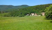 Tour Wandern Oberhaslach - Le Nideck, entre ruines et cascades - Photo 19