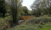 Tocht Stappen Blegny - Promenade du vendredi - Photo 11