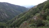 Excursión Senderismo Val-d'Aigoual - cascades orgon - Photo 2